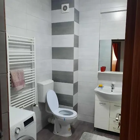 Apartament 2 Emil Paunoiu * Cluj-Napoca